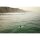 Surfboard TORQ TEC 24/7 9.0 Longboard