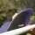 FUTURES Fins Twin Set Rasta Keel Honeycomb