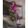 DRYROBE Advance Long Sleeve Grün Camo Pink L REMIX