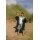 DRYROBE Advance Short Sleeve KIDS Schwarz Grau 5-9