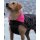DRYROBE Dog Coat Hundemantel Schwarz Camo Pink XL