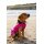 DRYROBE Dog Coat Hundemantel Pink Schwarz S