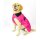 DRYROBE Waterproof Dog Coat Pink Black M