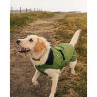 DRYROBE Dog Coat Hundemantel Dunkelgrün Schwarz XS