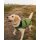 DRYROBE Dog Coat Hundemantel Dunkelgrün Schwarz XS