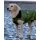DRYROBE Dog Coat Hundemantel Dunkelgrün Schwarz XS