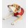 DRYROBE Dog Coat Hundemantel Burnt Orange M