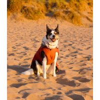 DRYROBE Waterproof Dog Coat Burnt Orange XL