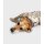 DRYROBE Dog Coat Hundemantel Sand Camo XS