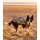DRYROBE Dog Coat Hundemantel Sand Camo XL