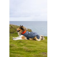 DRYROBE Dog Coat Hundemantel Grau Orange XXXL